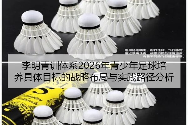 li-ming-qing-xun-ti-xi-nian-qing-shao-nian-zu-qiu-pei-yang-ju-ti-mu-biao-de-zhan-lve-bu-ju-yu-shi-jian-lu-jing-fen-xi-2-913.jpg